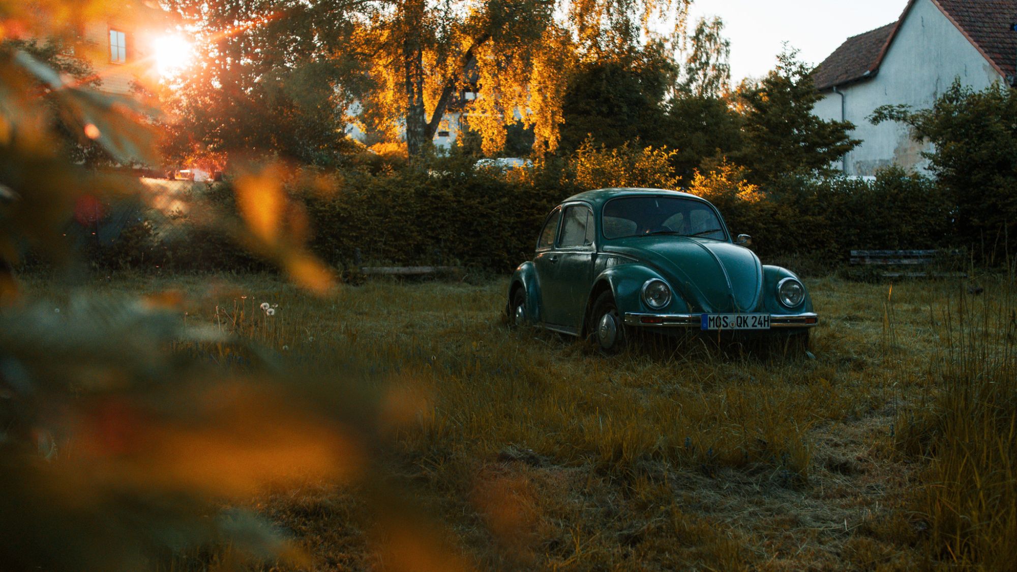 VW Käfer im Gegenlicht auf einer Wiese