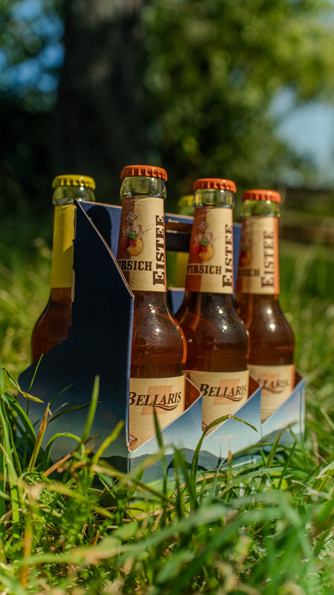 Bellaris Eistee im Sixpack im Gras